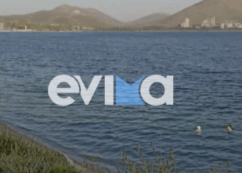 Δραματική διάσωση στην Εύβοια: Αστυνομικός βούτηξε στη θάλασσα για να σώσει μητέρα και κόρη